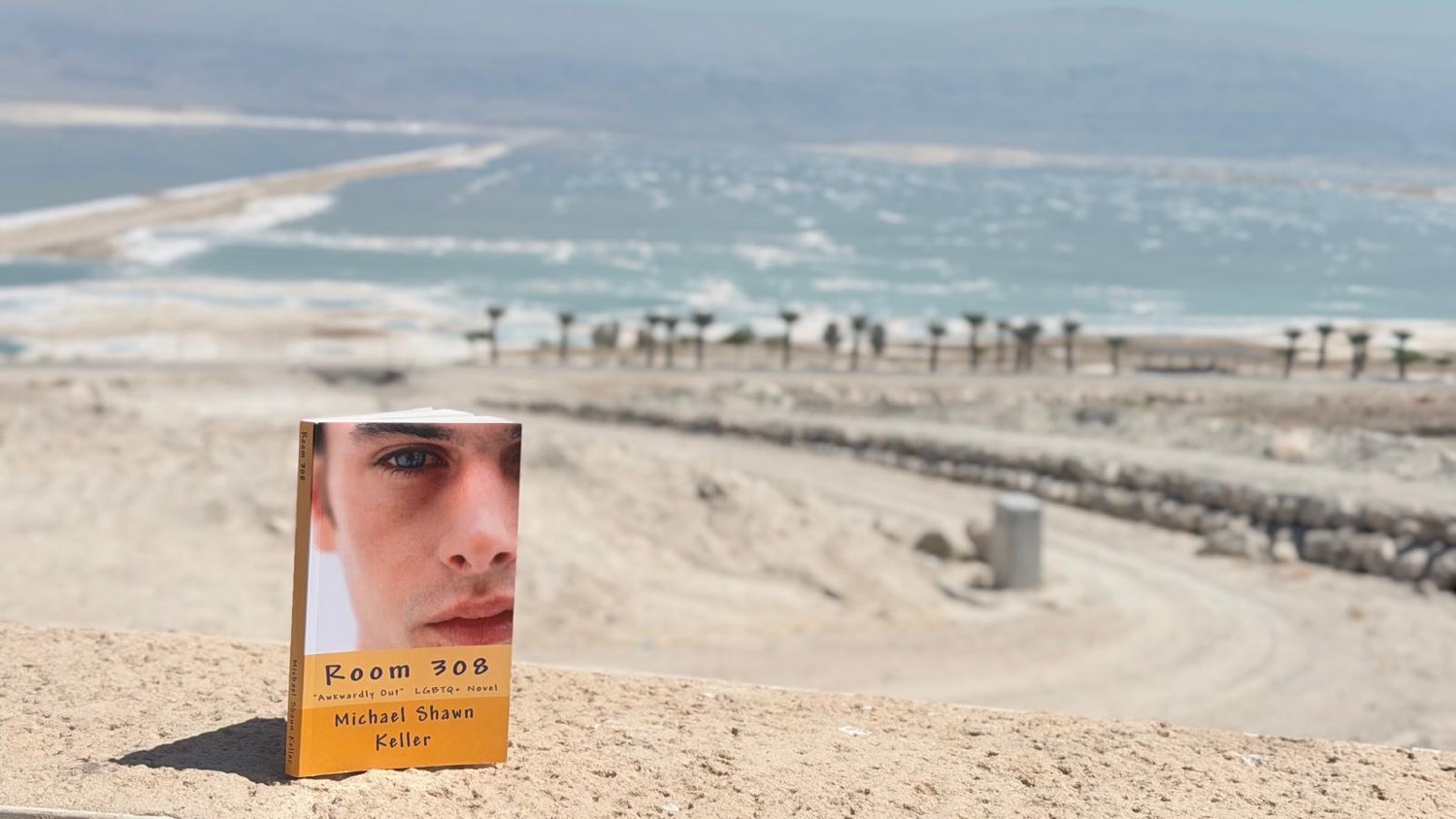 Signed paperback of Room 308 on a ledge at the Dead Sea